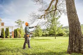 How Our Tree Care Process Works  in  Somerdale, NJ