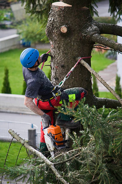 Leaf Removal in Somerdale, NJ